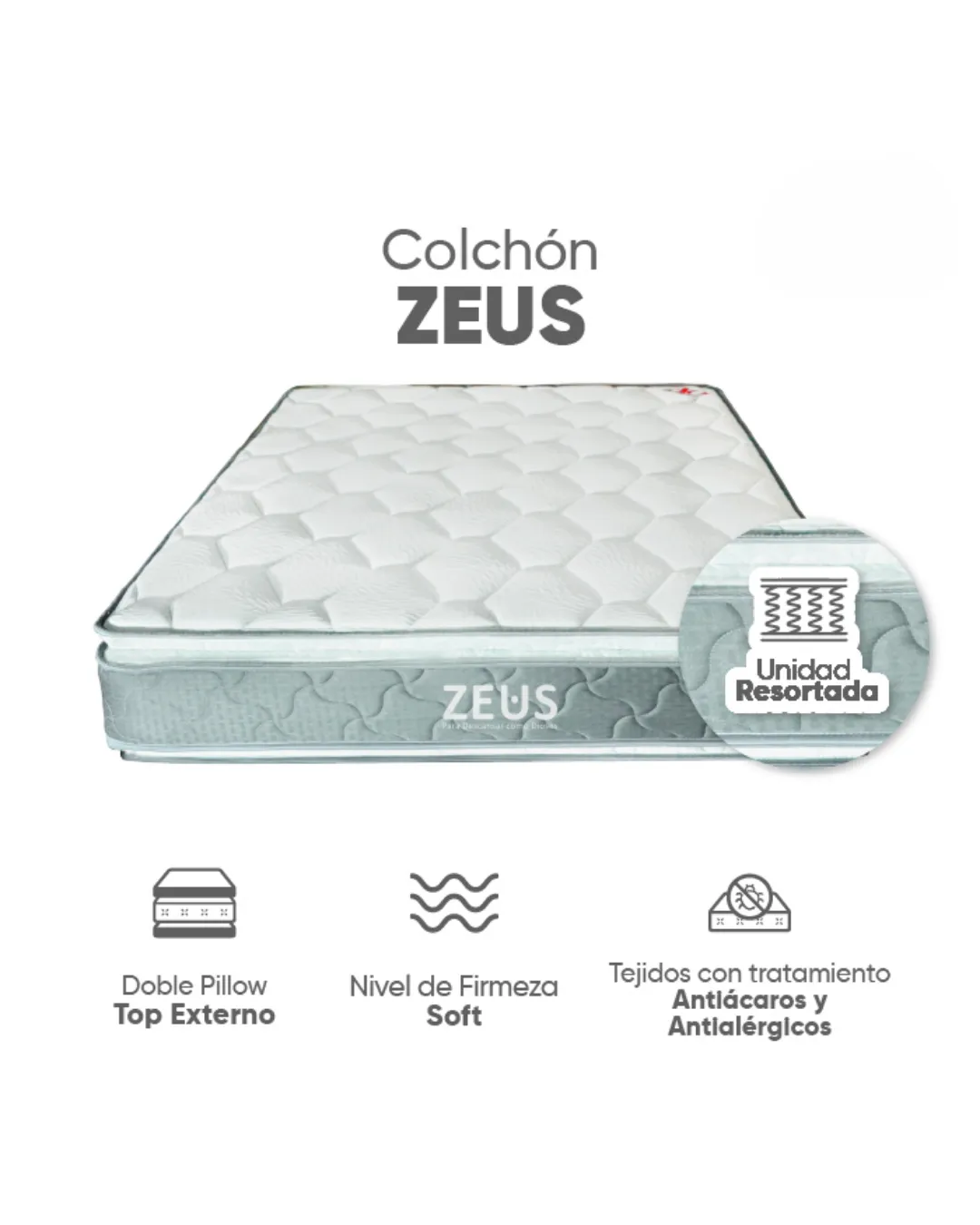 Zeus Detalle 1