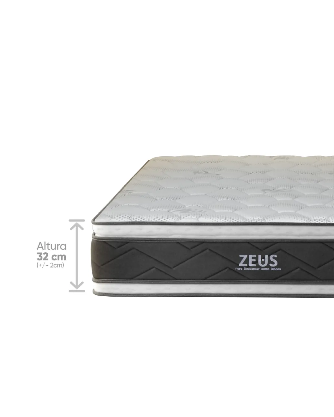 Zeus Detalle 2