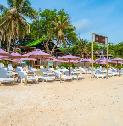 Luxury Area Beach
